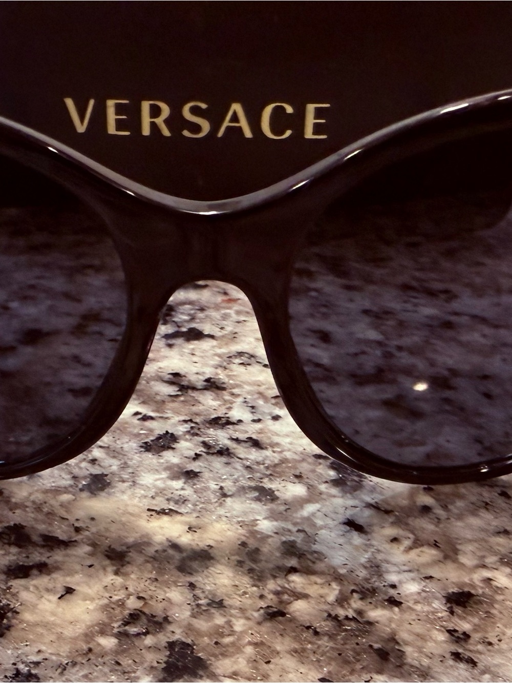 Versace Women's Black Sunglasses with Gold Logo
